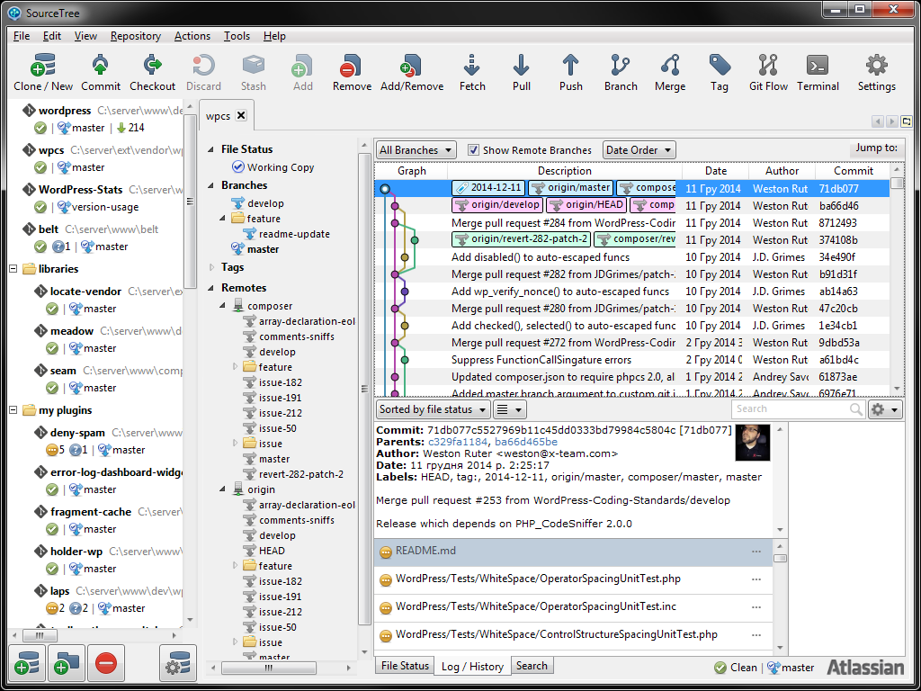 SourceTree interface