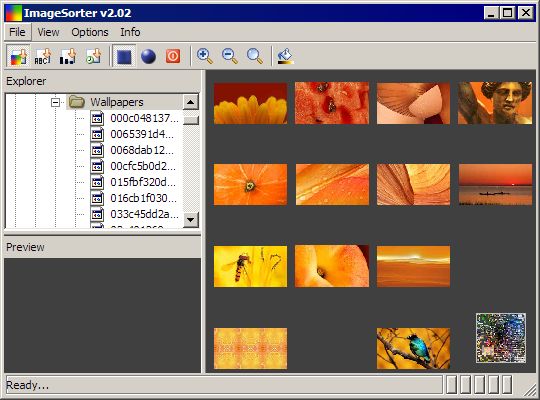 imagesorter_interface