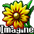 imagine_icon