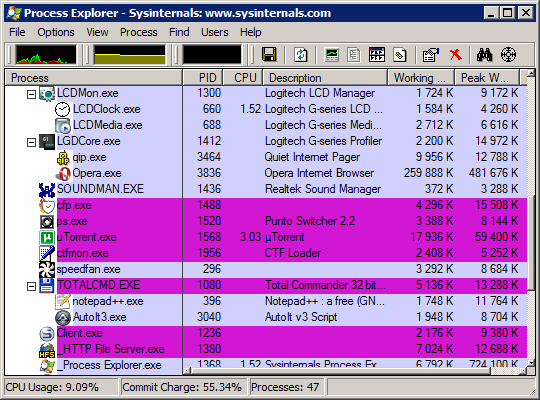 process_explorer_interface